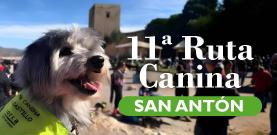 11 RUTA CANINA. CELEBRAMOS SAN ANTN. 