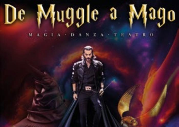 DE MUGGLE A MAGO, TRIBUTO A HARRY POTTER