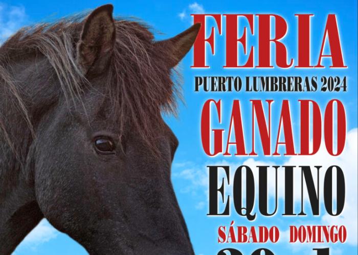 FERIA DE GANADO EQUINO