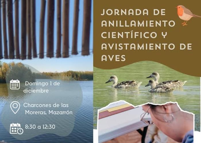 Jornada de anillamiento cientfico y avistamiento de aves 