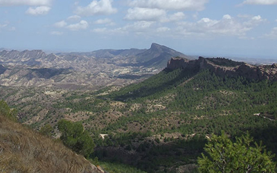 Un sendero por bosques encantados