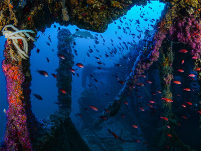 4 Cuevas submarinas impresionantes para amantes del buceo